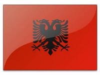 Садику: "Огромное счастье видеть радость албанцев"
