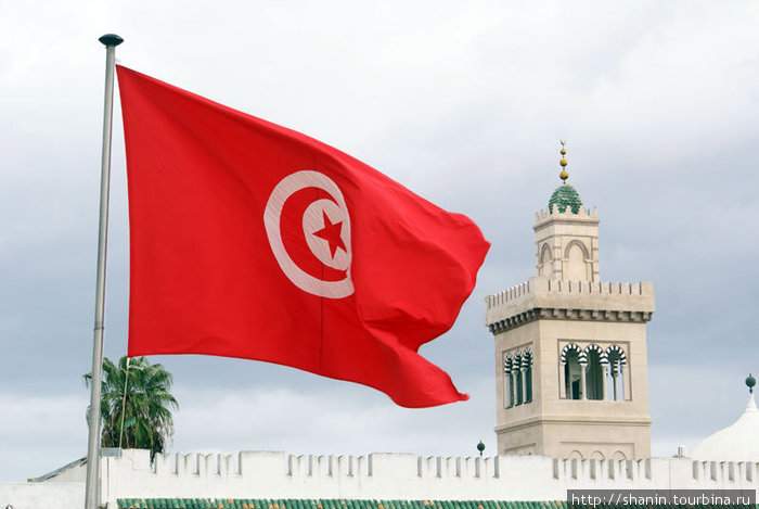 Тренер сборной Туниса уволен после поражения от Буркина-Фасо