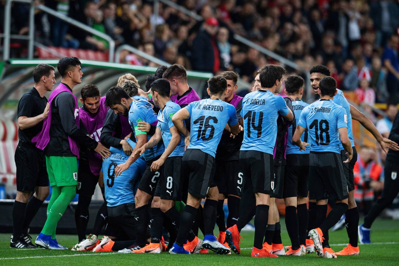 Дарио Силва: «На этом мундиале сборная Уругвая показала максимум 50% от того, на что способна»