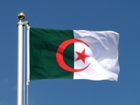 Алжир — Камерун: составы, прямая трансляция и онлайн - 1:2
