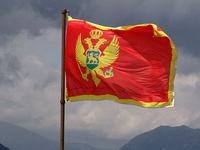 Союз болельщиков Черногории не взял на себя ответственность