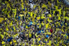 Швеция - Новая Зеландия: прогноз на товарищеский матч