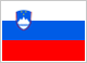 Словения (до 19 лет)